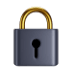 Premium Lock Icon